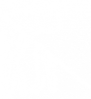 Fale com o presidente 