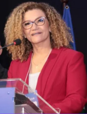 Mireni de Oliveira Costa Silva